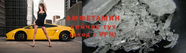 хмурый Аркадак