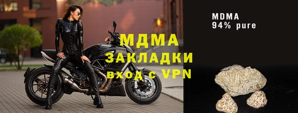 хмурый Аркадак