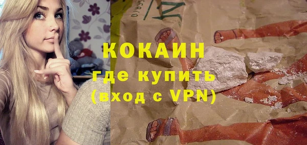 хмурый Аркадак