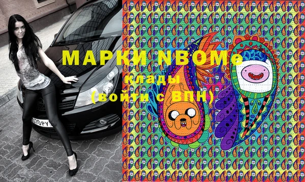 прущие грибы Армянск