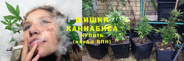Альфа ПВП Балабаново