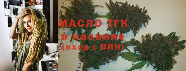 прущие грибы Армянск