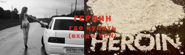 хмурый Аркадак
