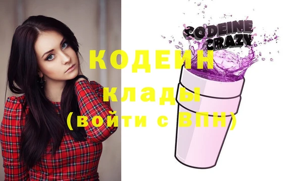 хмурый Аркадак