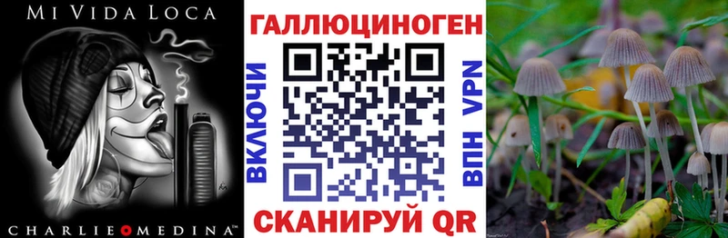 магазин продажи наркотиков Петровск Псилоцибиновые грибы мухоморы